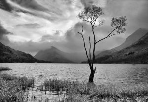 Looking down Buttermere